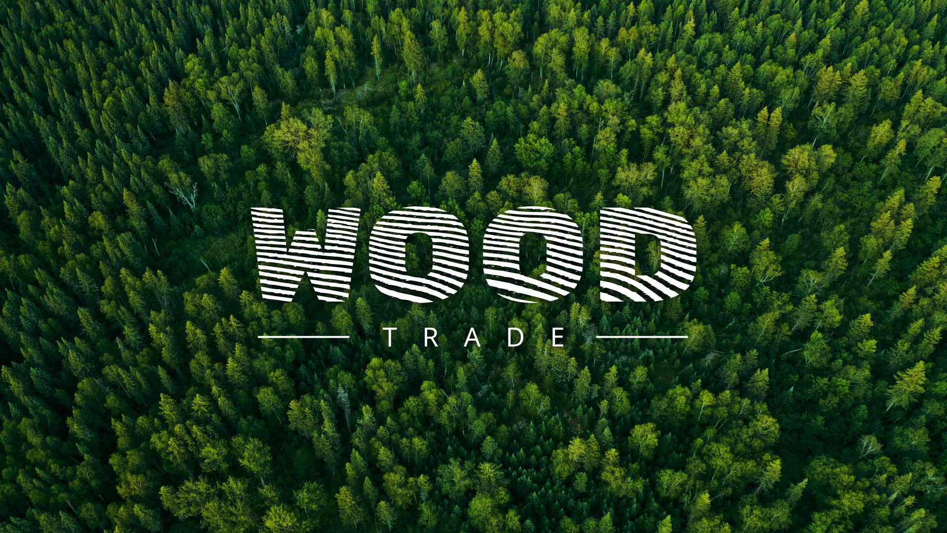 Разработка интернет-магазина компании «Wood Trade» в Оленегорске