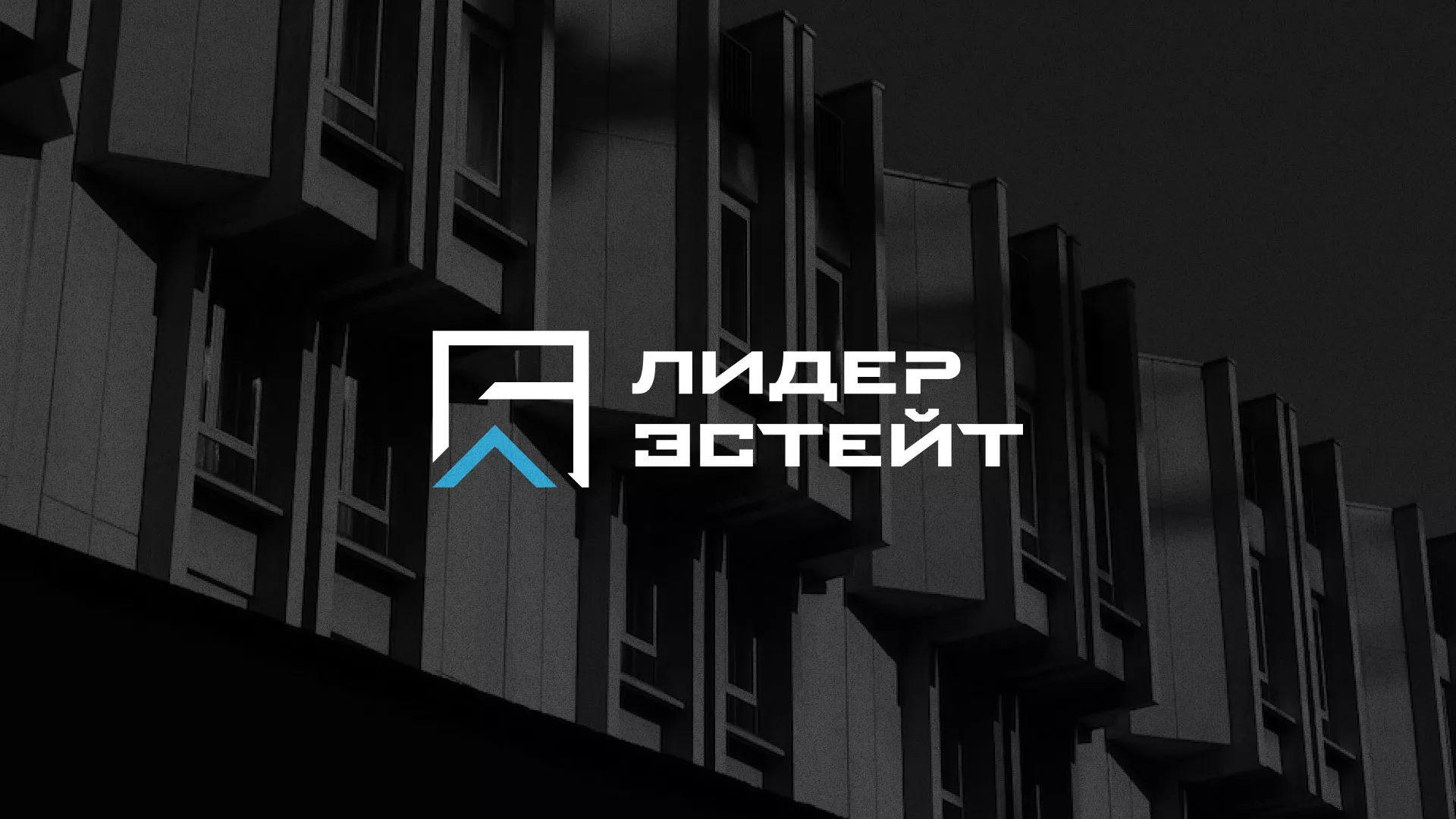 Разработка логотипа агентства недвижимости «Лидер Эстейт» в Оленегорске